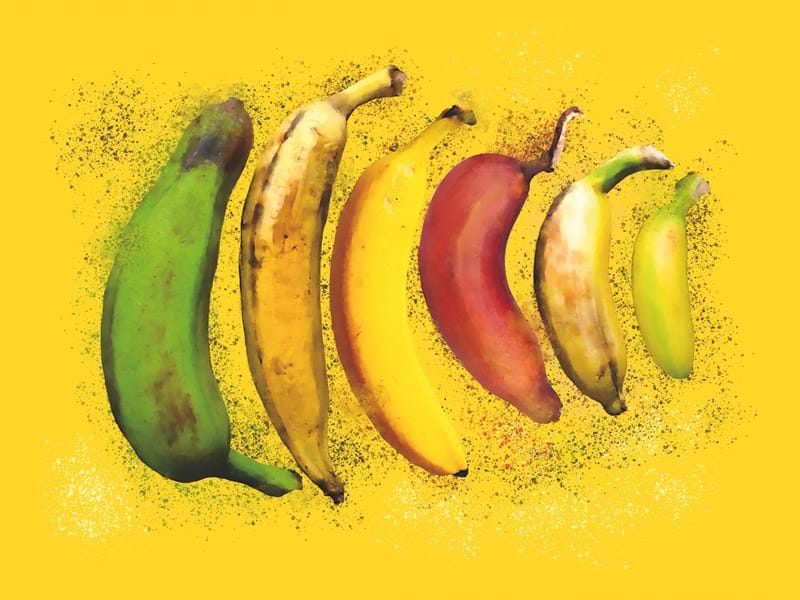 Hello Yellow - Das Quiz zur Ausstellung