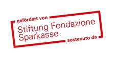 Logo Stiftung Sparkasse