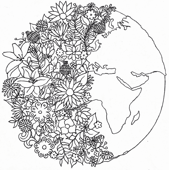 Disegni delle edizioni precedenti