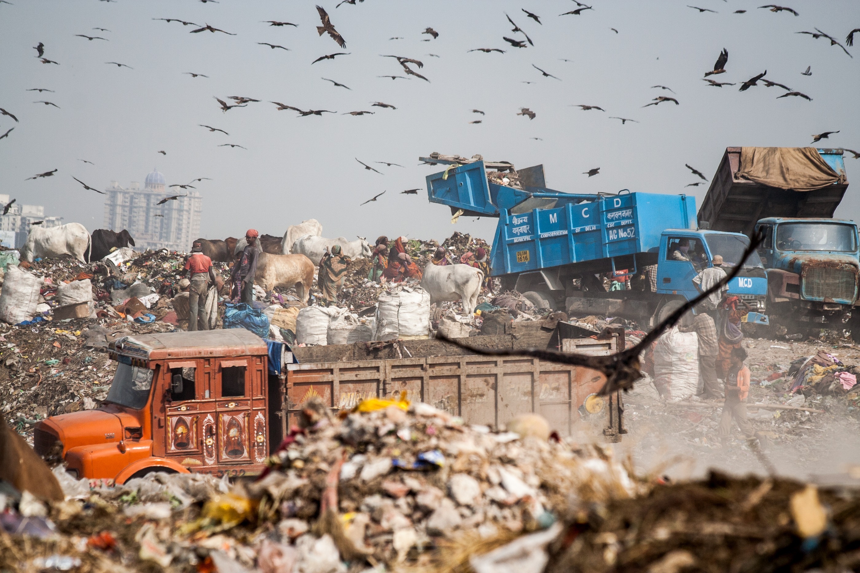 World Wide Waste Quiz