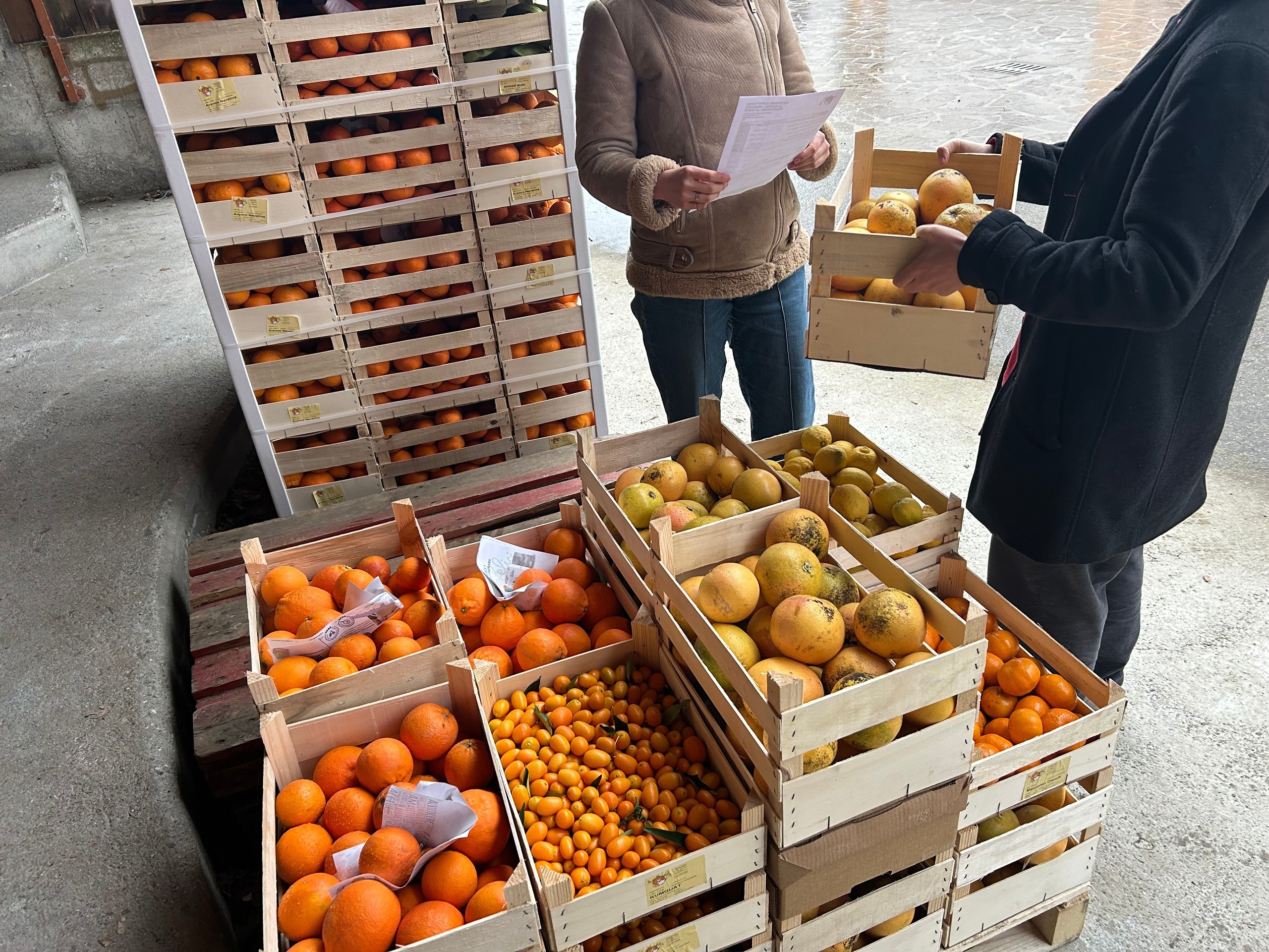 GAS – Acquisto solidale e diretto