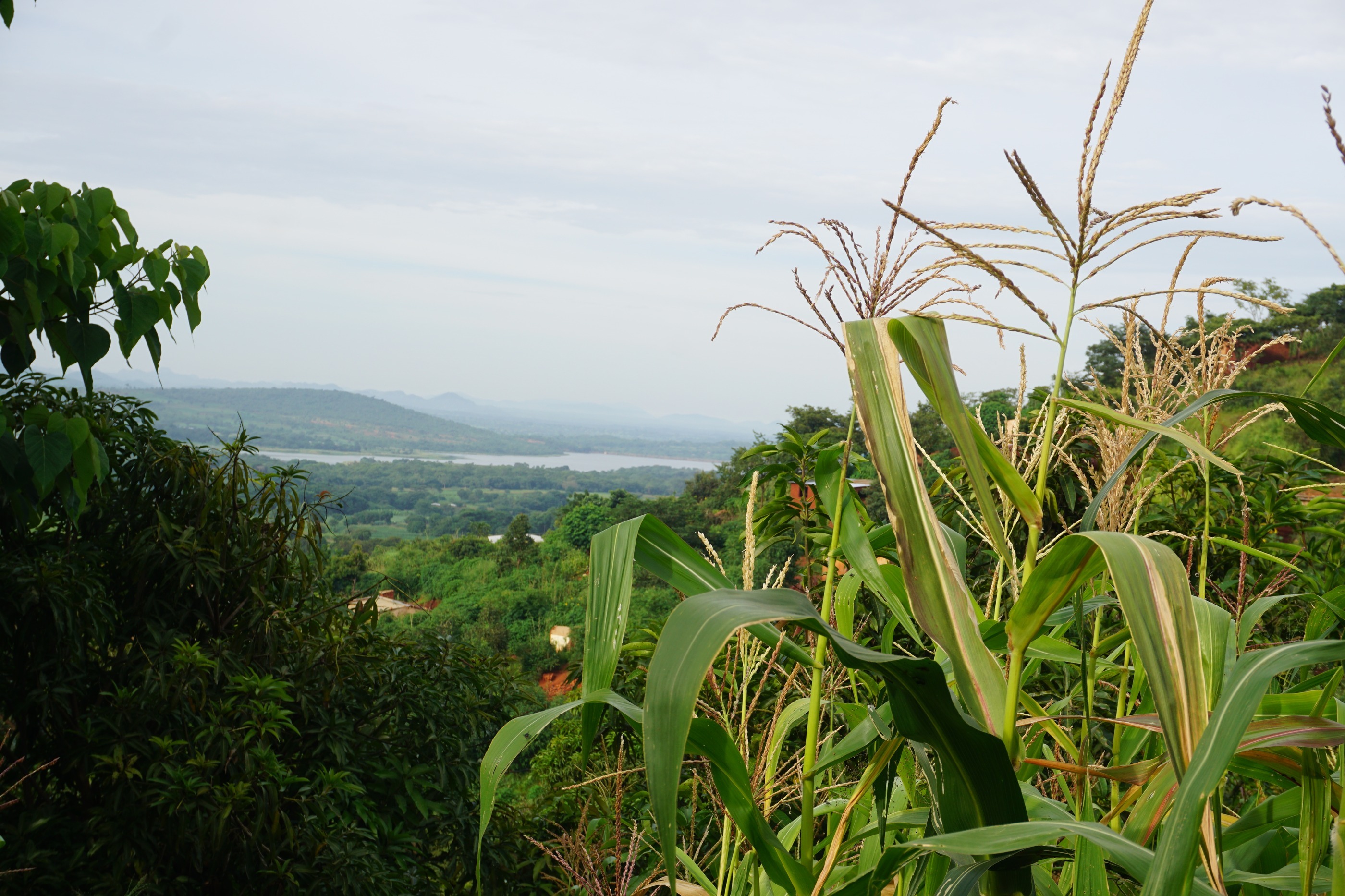 Kleiner Stich mit großen Folgen