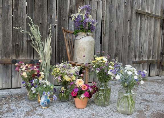 Die Vielfalt an Farben und Formen ist auch bei regionalen Blumen enorm.