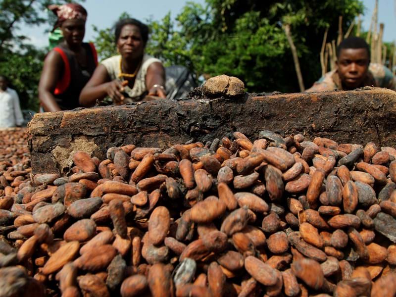 Kakao und andere bittere Dinge