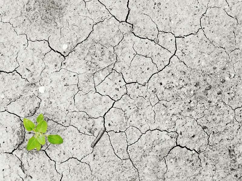 Was ist der Erdüberlastungstag?