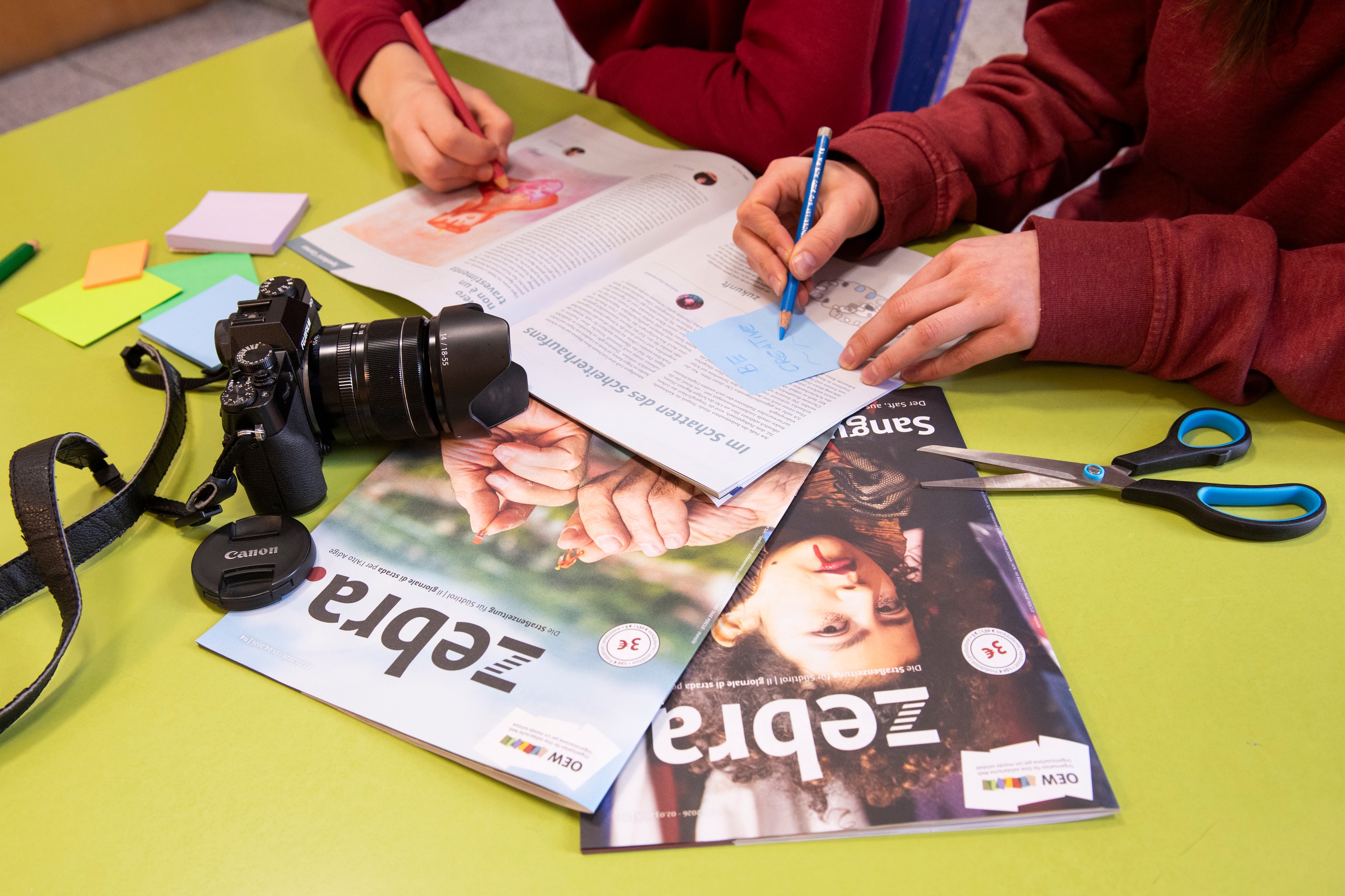 Schulklassen gestalten neue zebra. Rubrik 