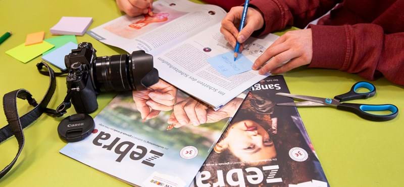 Schulklassen gestalten neue zebra. Rubrik