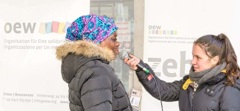 Edizione scolastica di zebra.