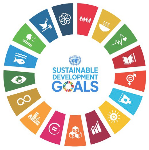 Der Countdown läuft - OEW Plus