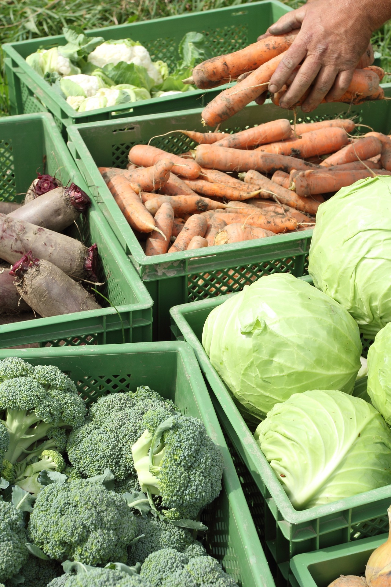 NaveS – Una risposta cooperativa alla chiusura dei negozi